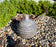 16" Smooth Ribbed Limestone Sphere Fountain Kit